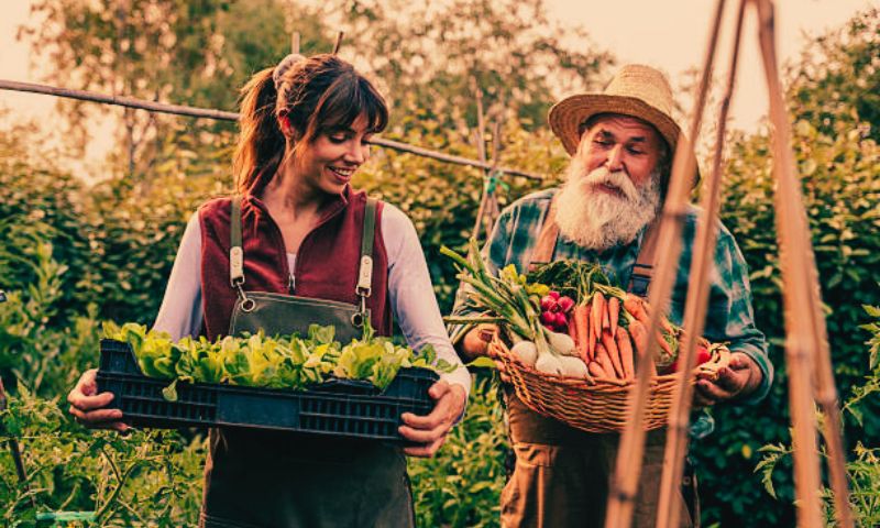 Farm Workers needed in Canada (40 hours per week)